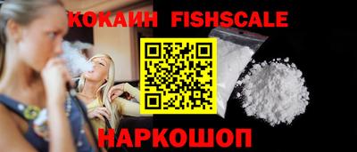 СК Кингисепп