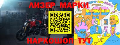 СК Кингисепп