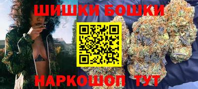 СК Кингисепп