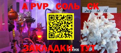 СК Кингисепп